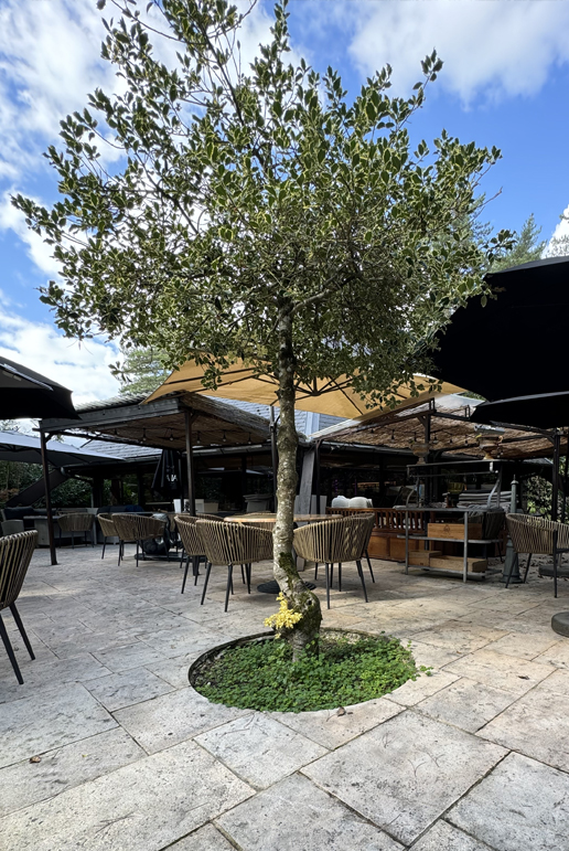 Formule midi restaurant à La Ferté-Saint-Aubin, dans le Loiret (45)